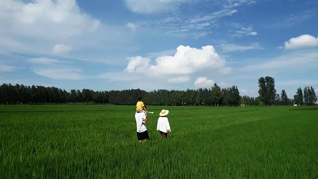 Cặp vợ chồng 40 tuổi bỏ phố về quê, cải tạo nhà cũ và sống một cuộc sống tối giản nhiều người mơ ước- Ảnh 17. Cặp vợ chồng 40 tuổi bỏ phố về quê, cải tạo nhà cũ và sống một cuộc sống tối giản nhiều người mơ ước- Ảnh 17.