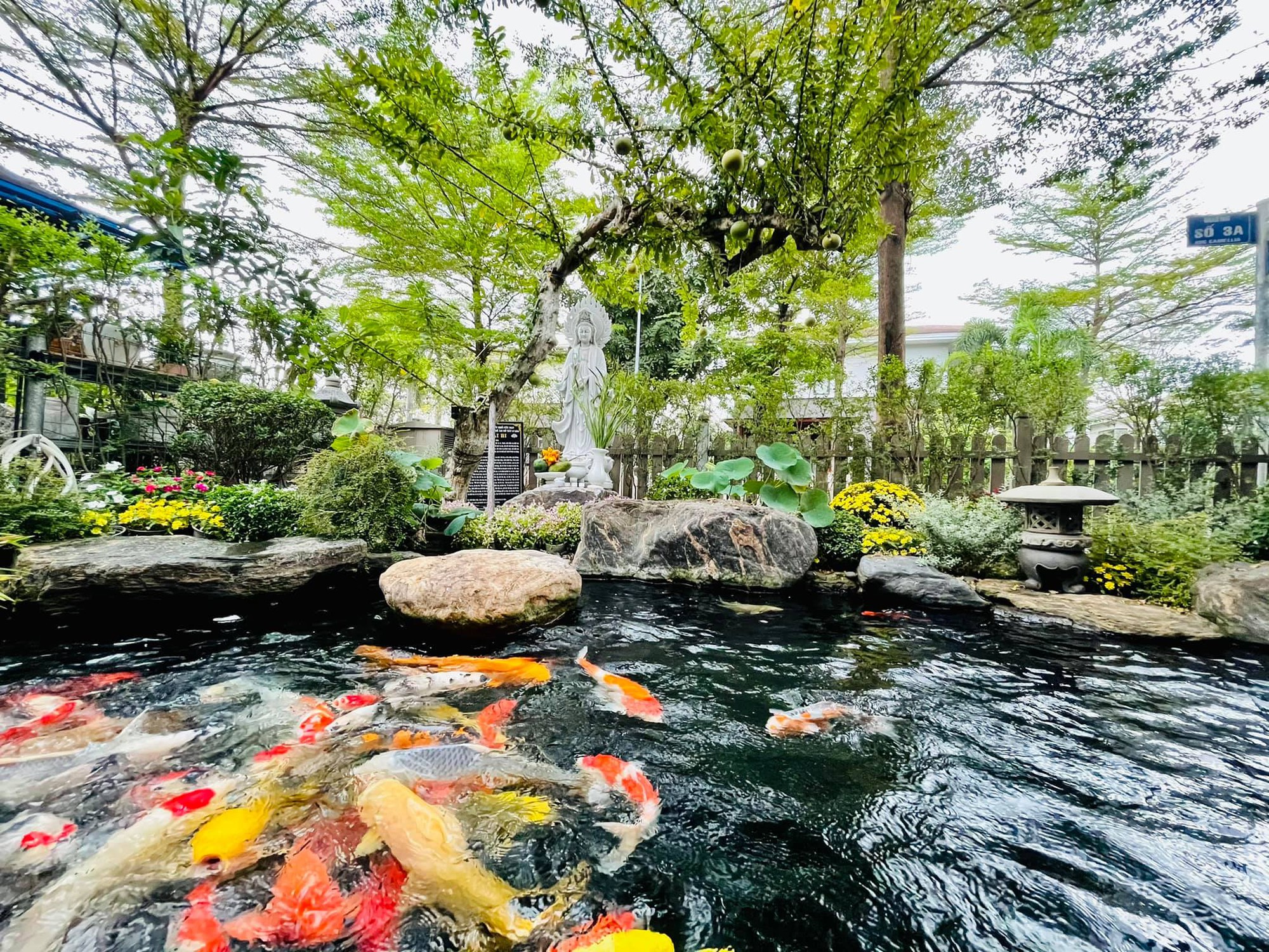 Cận cảnh biệt thự nhà vườn rộng 220m2, có hồ cá Koi