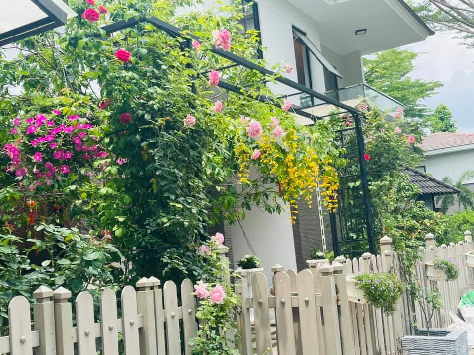 Cận cảnh biệt thự nhà vườn rộng 220m2, có hồ cá Koi