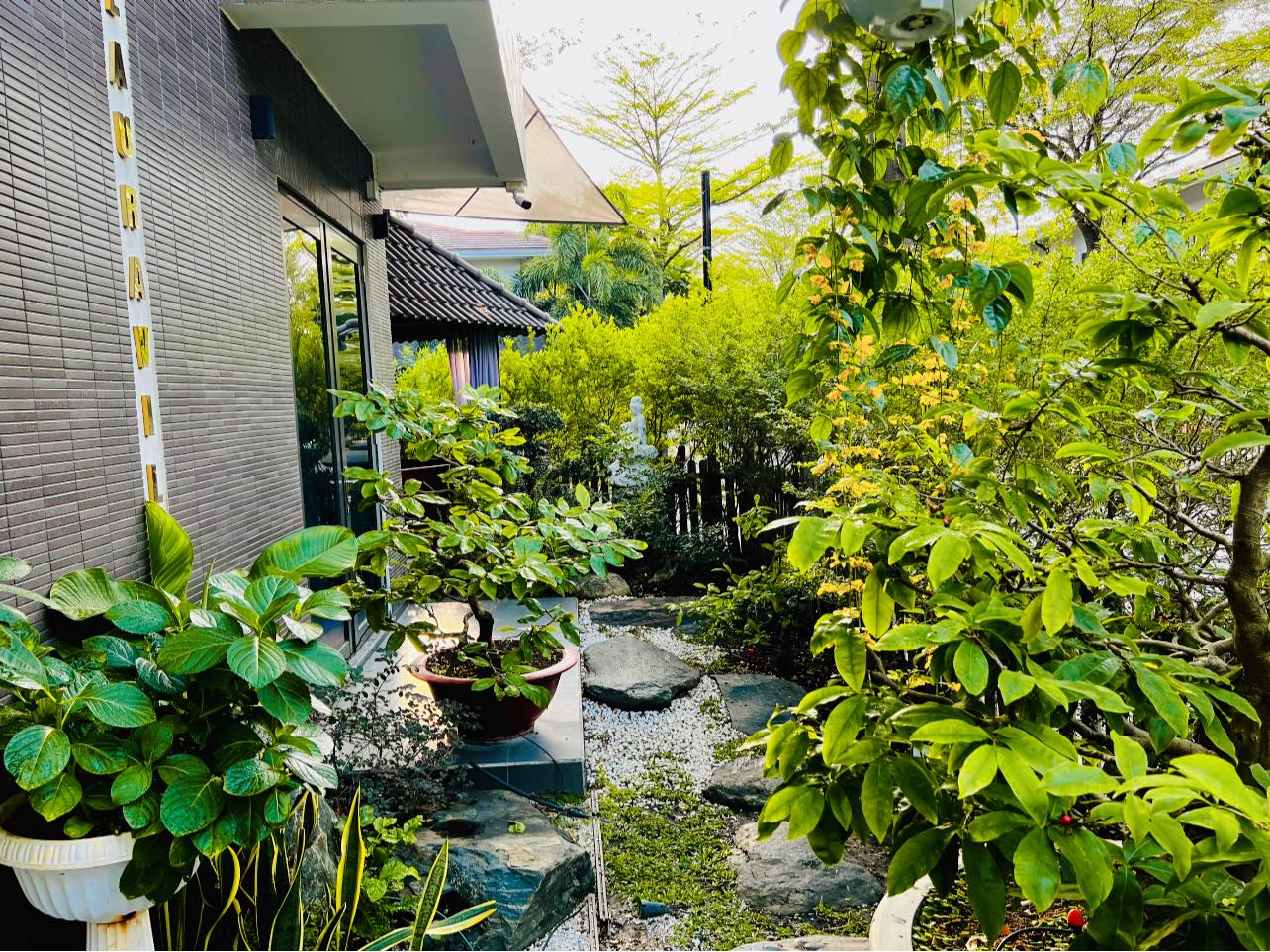 Cận cảnh biệt thự nhà vườn rộng 220m2, có hồ cá Koi