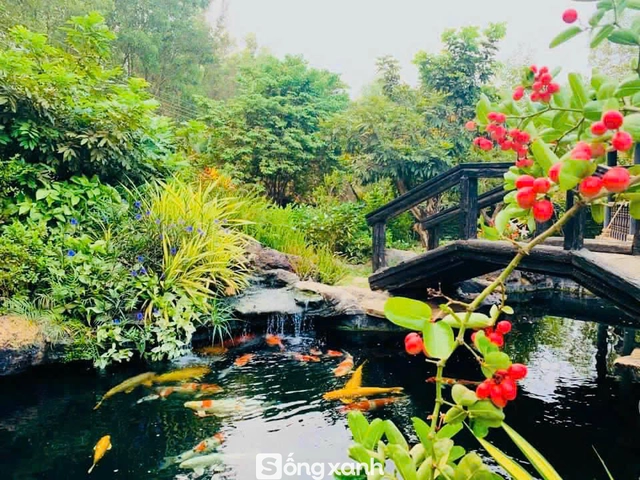 Bán nhà chục tỷ ở thành phố để giữ biệt phủ 1.600 m2 ở quê, Hoàng Mập: "Mấy năm tôi mới trả hết nợ"- Ảnh 6. Bán nhà chục tỷ ở thành phố để giữ biệt phủ 1.600 m2 ở quê, Hoàng Mập: "Mấy năm tôi mới trả hết nợ"- Ảnh 6.