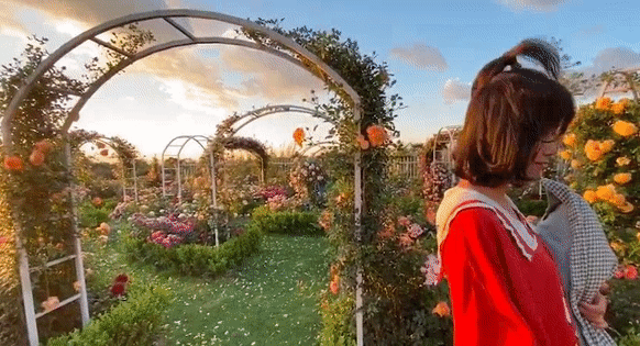 Mê mẩn trước khu vườn rộng 6.000m² với 2.000 loài hoa khoe sắc của đôi vợ chồng trung niên!- Ảnh 9. Mê mẩn trước khu vườn rộng 6.000m² với 2.000 loài hoa khoe sắc của đôi vợ chồng trung niên!- Ảnh 9.