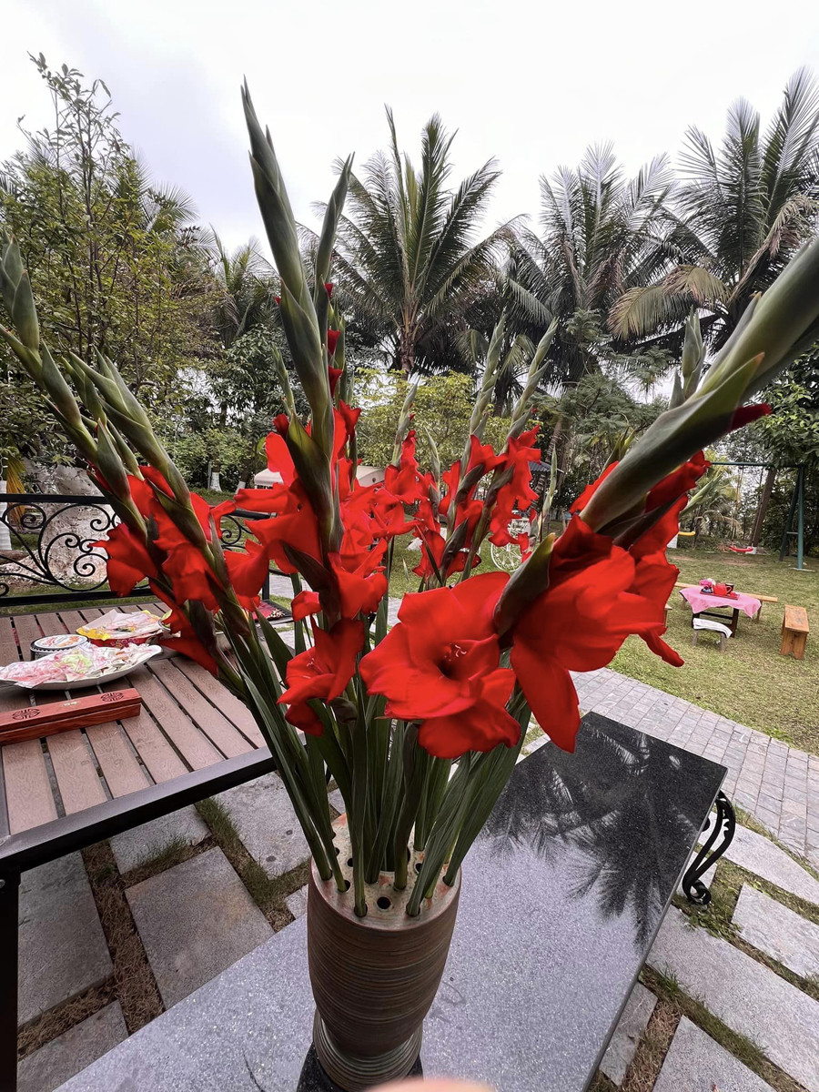 Bên trong biệt phủ như resort 5 sao của nam nghệ sĩ gắn liền với Gặp nhau cuối tuần- Ảnh 16. Bên trong biệt phủ như resort 5 sao của nam nghệ sĩ gắn liền với Gặp nhau cuối tuần- Ảnh 16.