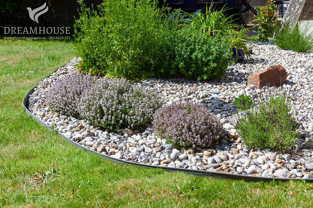 35-y-tuong-thiet-ke-canh-quan-san-vuon-cho-nam-2025-cho-nguoi-dam-me-14 Khu vườn đá với sự kết hợp của sỏi, đá và các loại cây chịu hạn như cây mọng nước và cây lâu năm, mang đến vẻ đẹp dễ chăm sóc cho không gian ngoài trời.