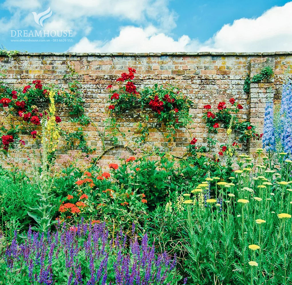 35-y-tuong-thiet-ke-canh-quan-san-vuon-cho-nam-2025-cho-nguoi-dam-me-15 Bức tường vườn được bao phủ bởi những cây leo tươi tốt như cây thường xuân, cây kim ngân và cây tử đằng, mang đến màu sắc rực rỡ và nét quyến rũ tự nhiên cho không gian.