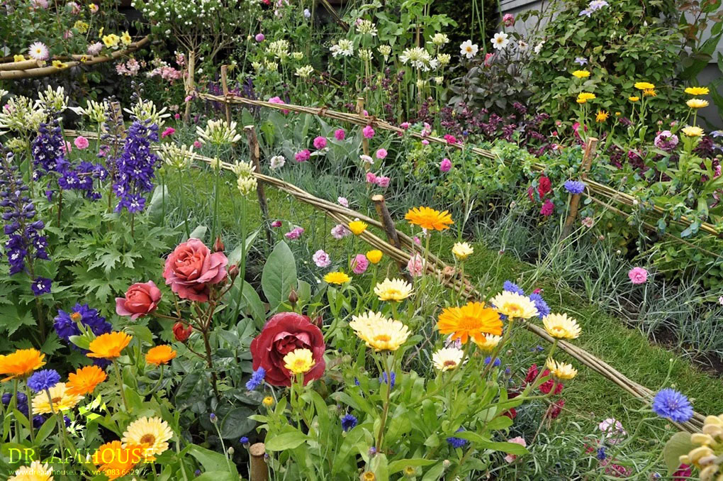 35-y-tuong-thiet-ke-canh-quan-san-vuon-cho-nam-2025-cho-nguoi-dam-me-29 Sự kết hợp sống động của các loại cây lâu năm đầy màu sắc có màu sắc bổ sung và chiều cao khác nhau.