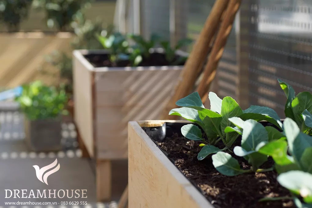 35-y-tuong-thiet-ke-canh-quan-san-vuon-cho-nam-2025-cho-nguoi-dam-me-34 Các thùng chứa vườn nâng cao với nhiều loại cây xanh tươi tốt, mang đến giải pháp bảo dưỡng thấp cho việc làm vườn dễ dàng.