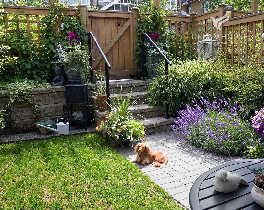 35-y-tuong-thiet-ke-canh-quan-san-vuon-cho-nam-2025-cho-nguoi-dam-me-4 Một khu vườn phía sau có bãi cỏ và lối đi lát đá dẫn đến cổng sau, được bao quanh bởi các tấm lưới mắt cáo có trồng cây leo.