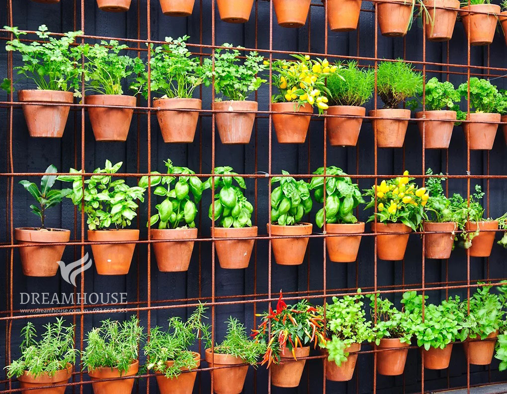 35-y-tuong-thiet-ke-canh-quan-san-vuon-cho-nam-2025-cho-nguoi-dam-me-8 Khu vườn thẳng đứng với những chậu cây bằng đất nung gắn trên tường chứa đầy các loại thảo mộc, biến bức tường đơn điệu thành ốc đảo xanh tươi.