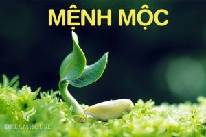 Mệnh Mộc là gì?