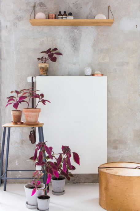 Cô gái trẻ làm nhiều người ngỡ ngàng vì sở hữu căn hộ 25m2 nhưng rộng bất ngờ nhờ bí quyết không ai ngờ tới- Ảnh 5. Cô gái trẻ làm nhiều người ngỡ ngàng vì sở hữu căn hộ 25m2 nhưng rộng bất ngờ nhờ bí quyết không ai ngờ tới- Ảnh 5.