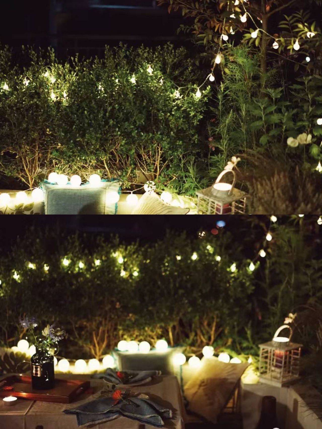 Chỉ 30m² thế nhưng khu vườn sân thượng của người phụ nữ trung niên này có đến 400 loại thực vật tươi tốt!- Ảnh 21.