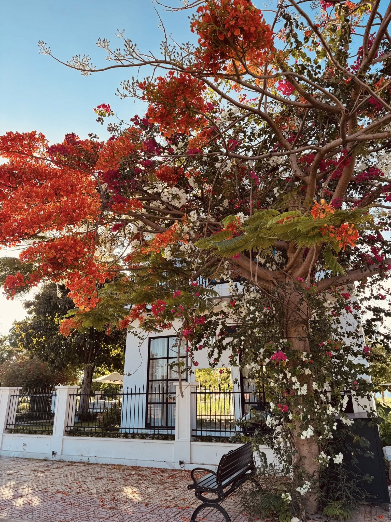 Nam nghệ sĩ sở hữu biệt thự mặt tiền 40 tỷ ở Nhà Bè, nhiều cửa hàng trải khắp cả nước, U40 vẫn lẻ bóng- Ảnh 7.