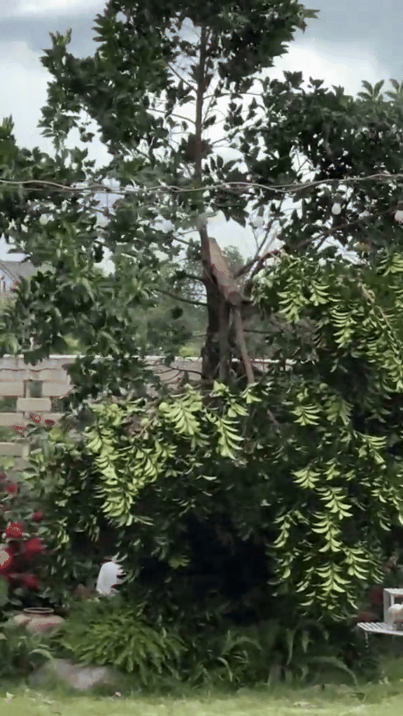 30 phút trở tay không kịp, chủ