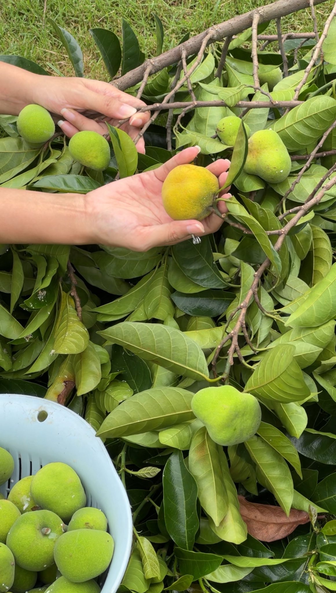 30 phút trở tay không kịp, chủ