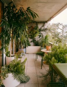 Khu vườn nhỏ trên ban công mang đến sự xanh mát dễ chịu. Ảnh: Amelia Stanwix