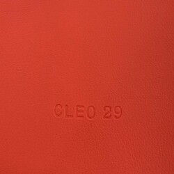 Mẫu da Cleo 29