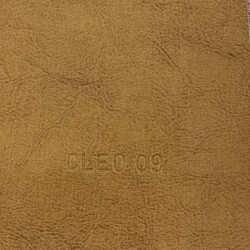 Mẫu da Cleo 39
